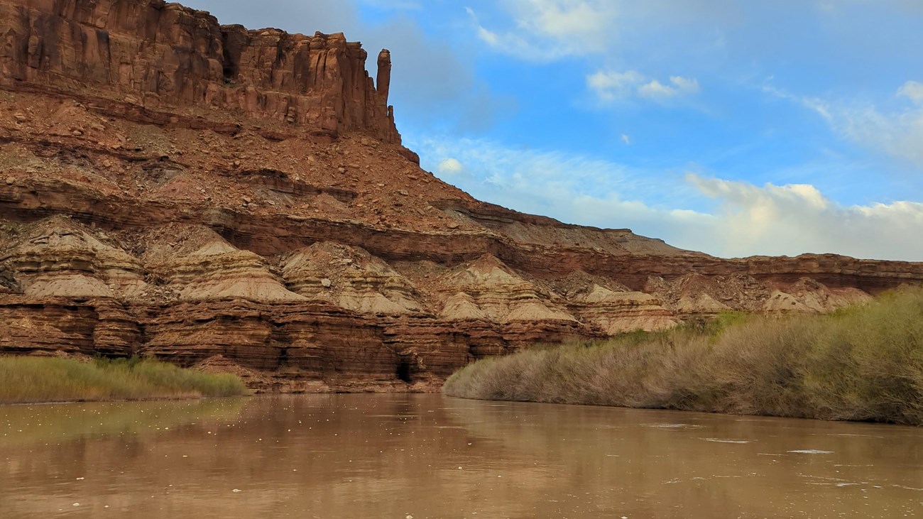 calm brown river reflects shoreline shrubs and towering sandstone canyon walls