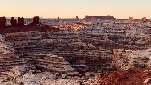 Canyon filled with multicolored layers of rock at sunset; sandstone spires stand on the horizon.