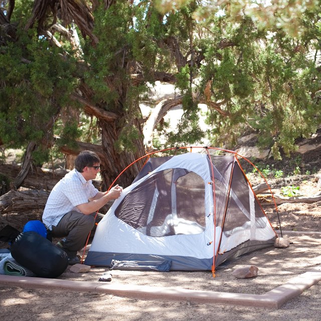 a man sets up a tent on a shady tent pad