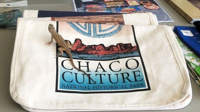 A tote bag that says Chaco Culture with a lizard sitting on top of the bag.