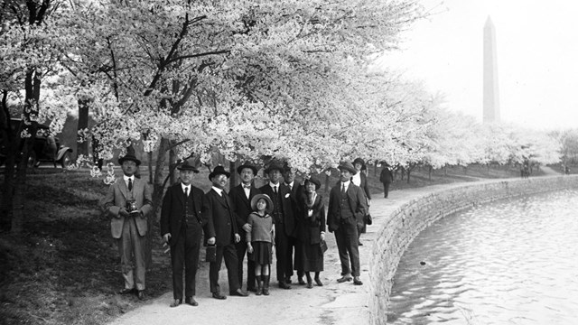 Turn of the century photo of Japanese visitors at the cherry blossoms