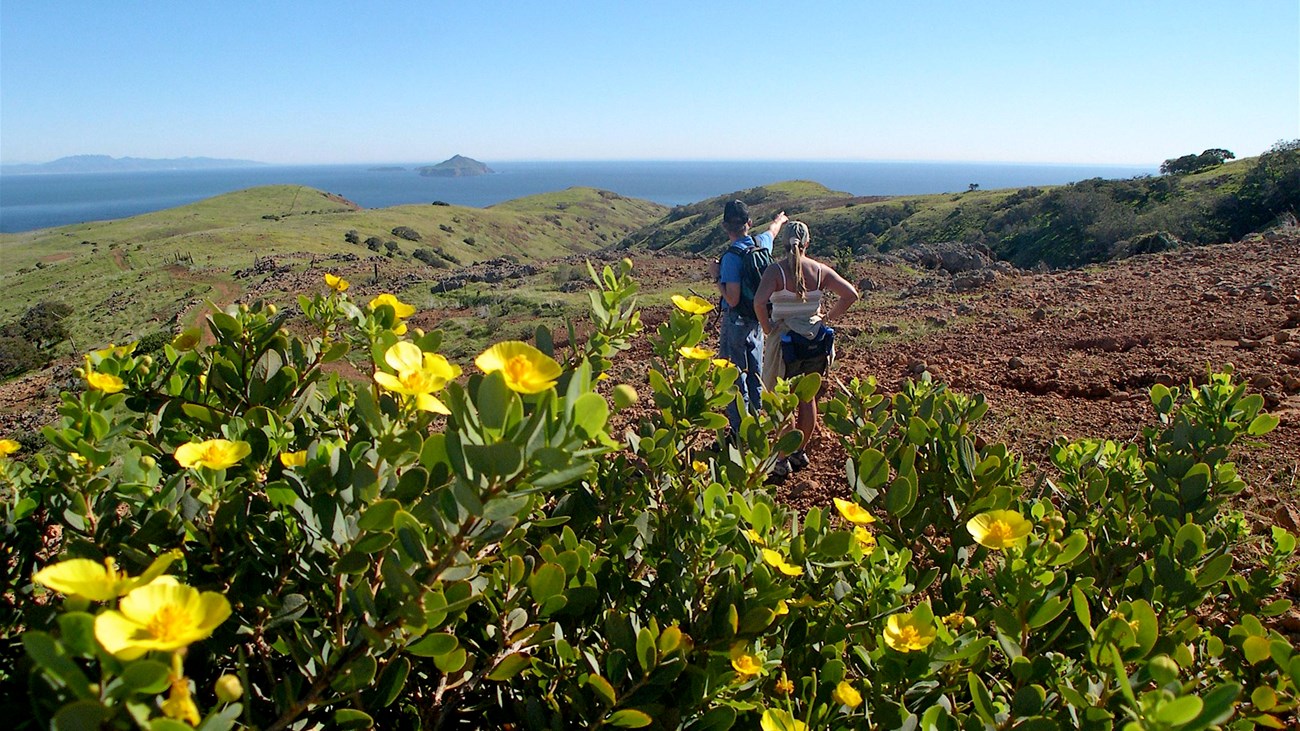 two hikers on a hill overlooking ocean with island in background