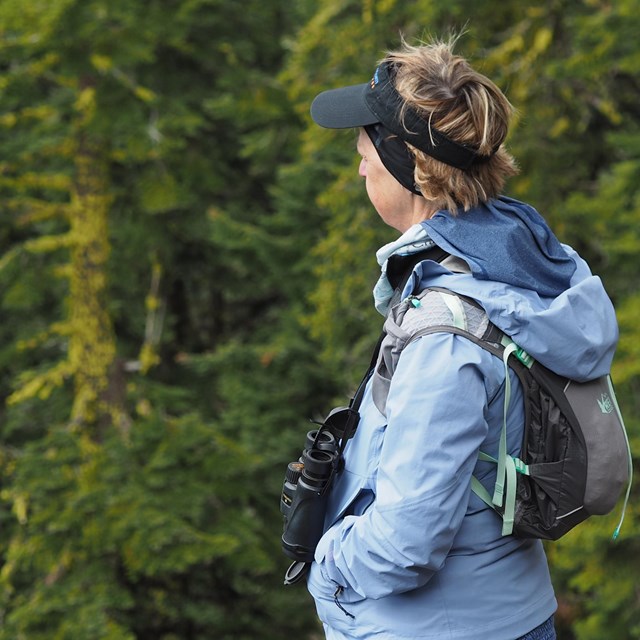 A woman in a light blue jacket with binoculars around her neck peers across treetops from a vista. 