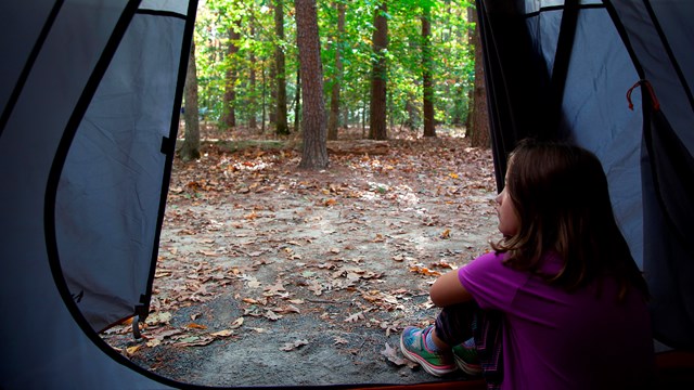 A girl looks out from a tent opening into the woods.
