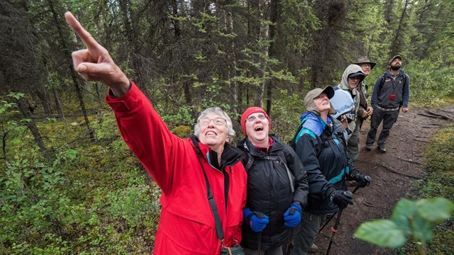 a group of visitors excitedly point into a forest