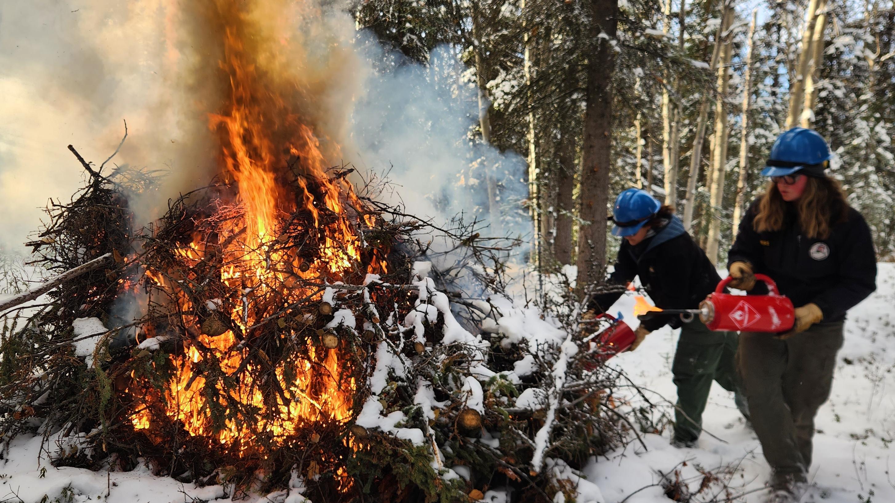 2 firefighters use a chainsaw to reduce fuel loads in an area