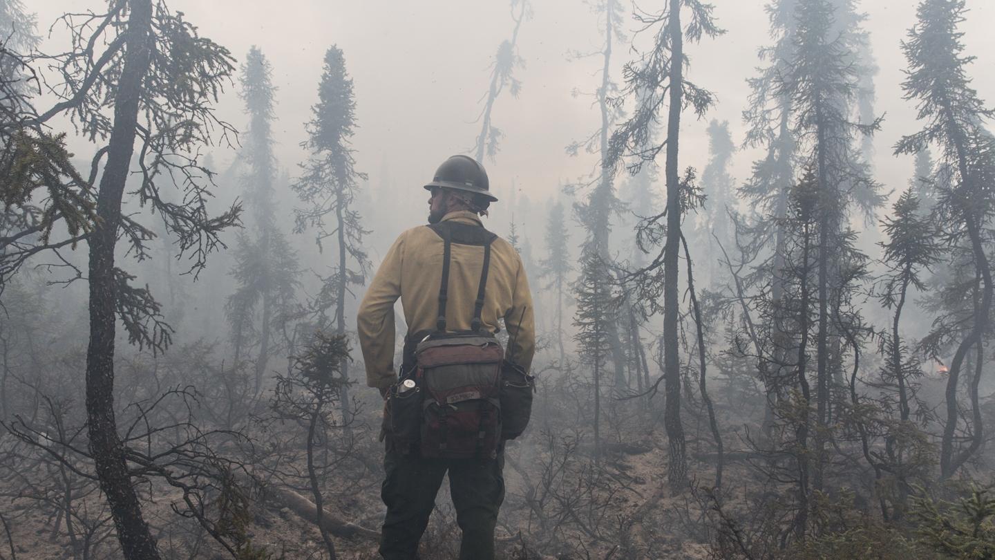 A wildland firefighter stands in a recently burned forest