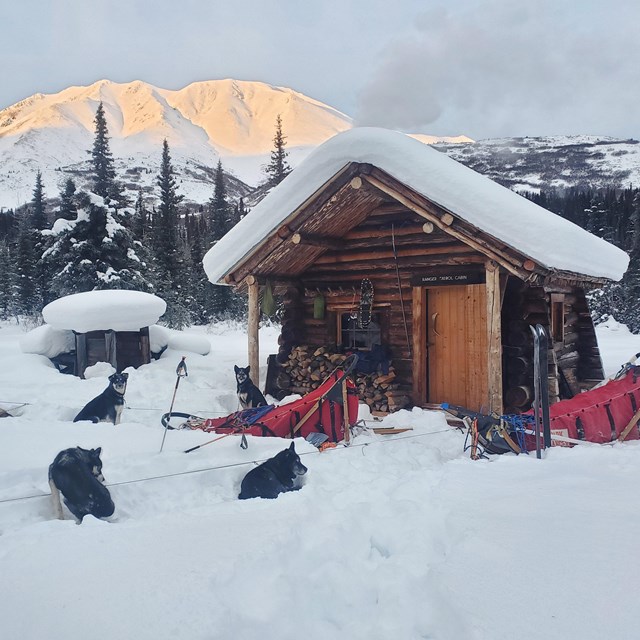 a team of dogs sits in front of a backcountry cabin