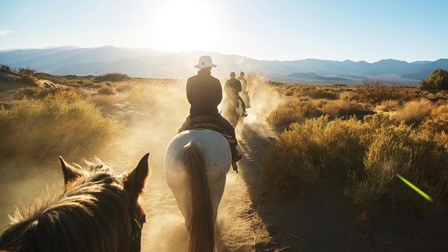  A dusty portrait of horseback riders along a valley trail into the sunset.