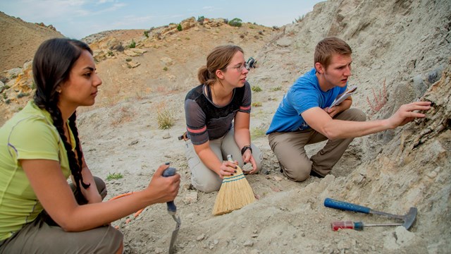 Three paleontology interns examine a fossil in a rock matrix, surrounded by excavation tools.