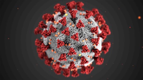 The Covid-19 virus illustration shows a white sphere with red and orange spikes sticking out.