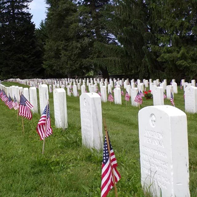 WWII headstones with flags in front of them.
