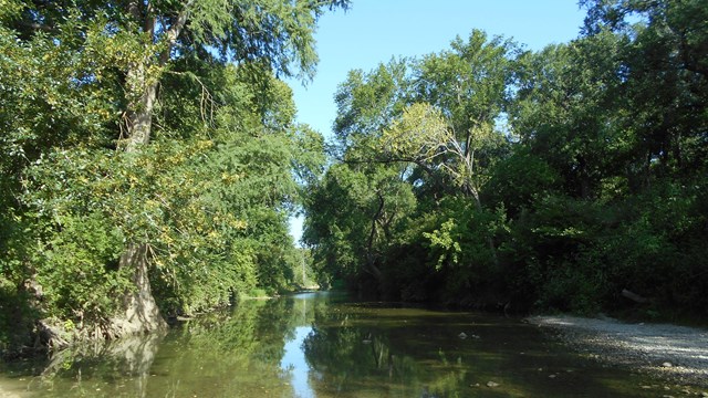 A calm creek winds through a heavily forested area.