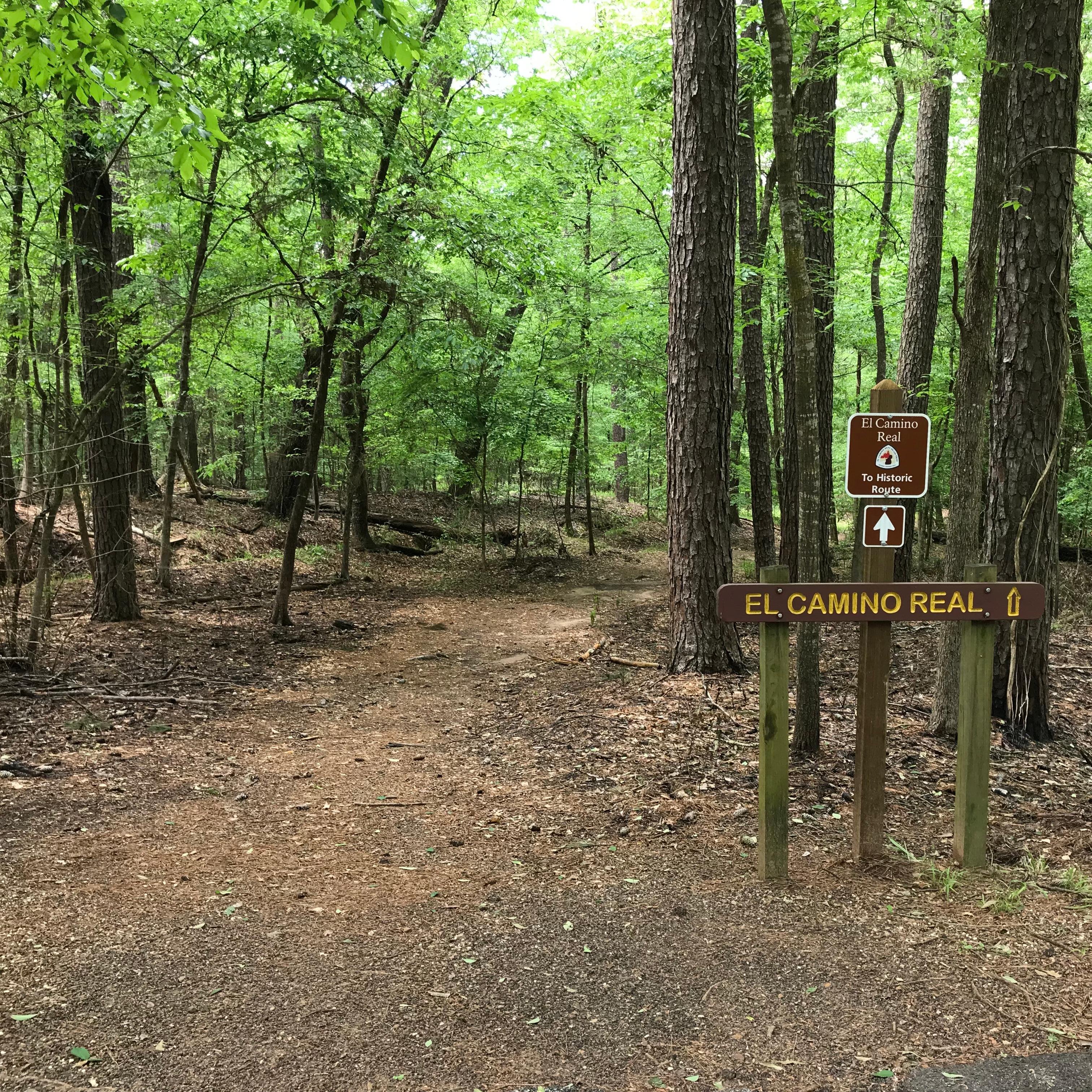 A dirt path leads into a dense broad-leaf tree forest with a historic trail sign.