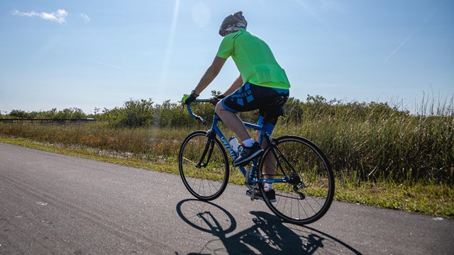 A cyclist on the Shark Valley Road under a blue sky.