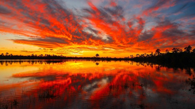 A vibrant orange and red sunset and a treeline are reflected on a body of water.