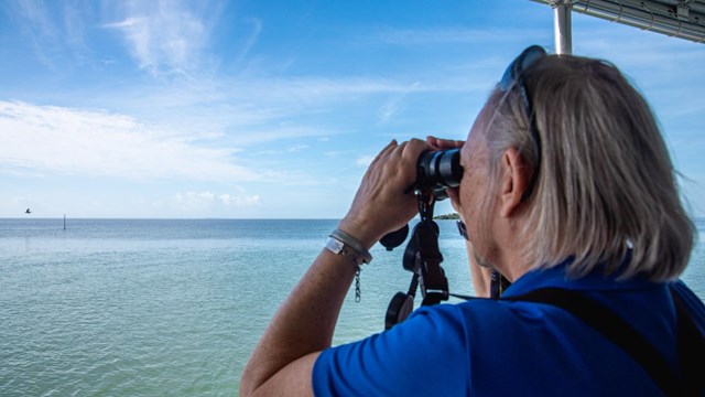 A person looks through binoculars while on a boat. They observe a bird in flight in the distance.