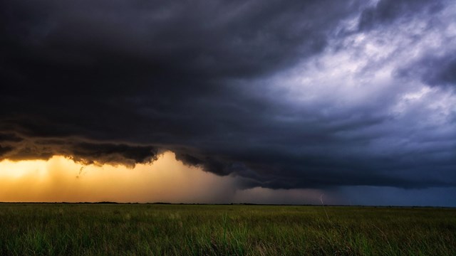 A rainstorm of a massive dark cloud looms over sawgrass.