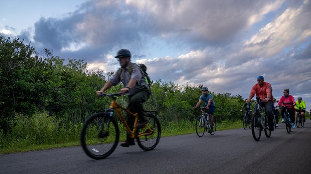 A Park Ranger rides a bike in front of a group of other cyclists on a road surrounded by vegetation.