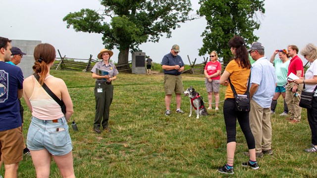 A group of around fifteen visitors stand near a National Park Service ranger as she talks to them.
