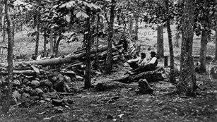 A black and white photo of two men sitting on a rock, among a grove of trees, behind a stone wall.