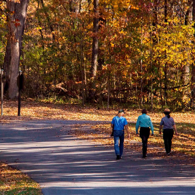 Three people walk along a road and up the hill. It's autumn and the leaves are orange and yellow.