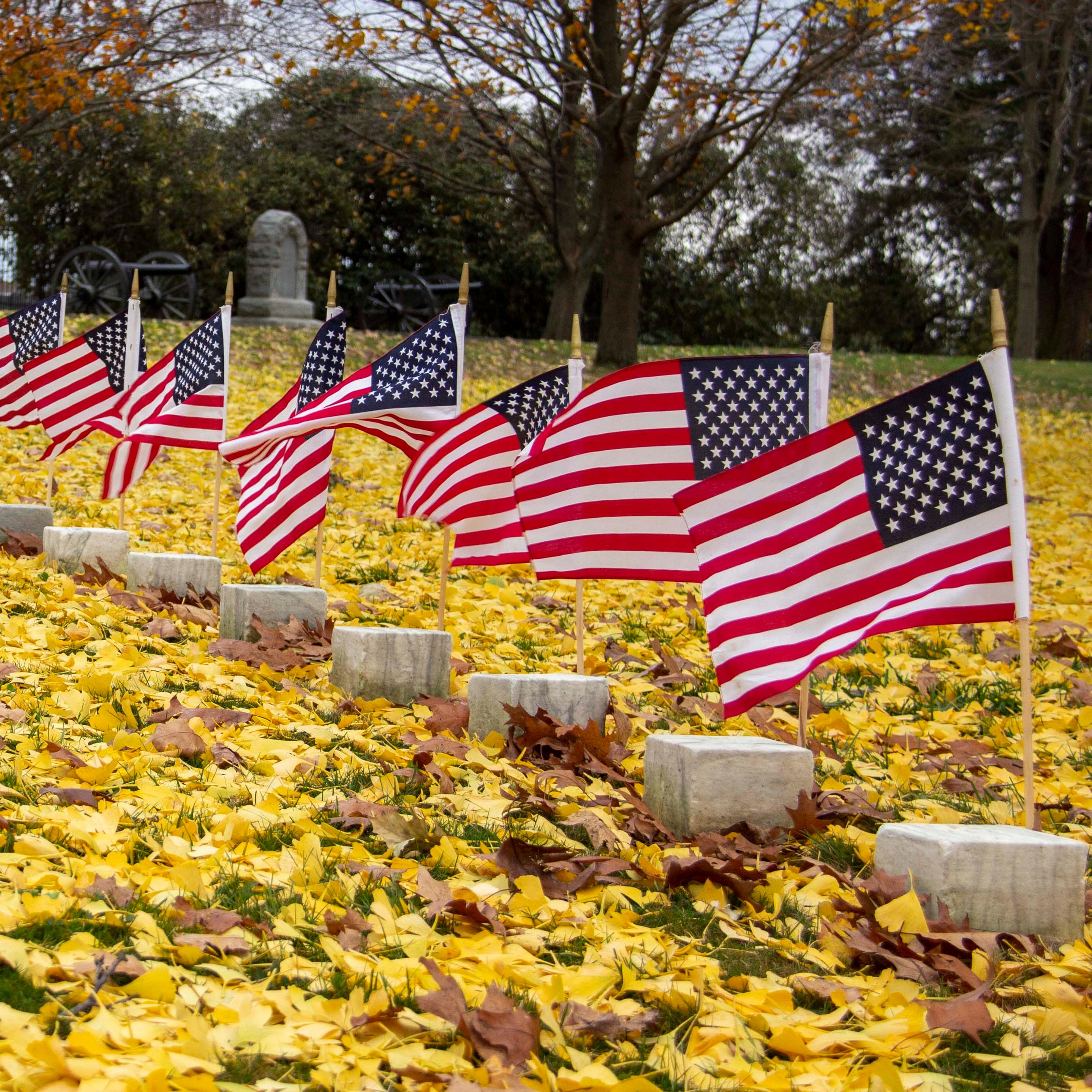 A row of small American flags lines a row of gravestones. Bright yellow leaves cover the ground.