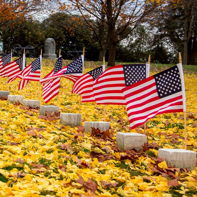 A row of small American flags lines a row of gravestones. Bright yellow leaves cover the ground.