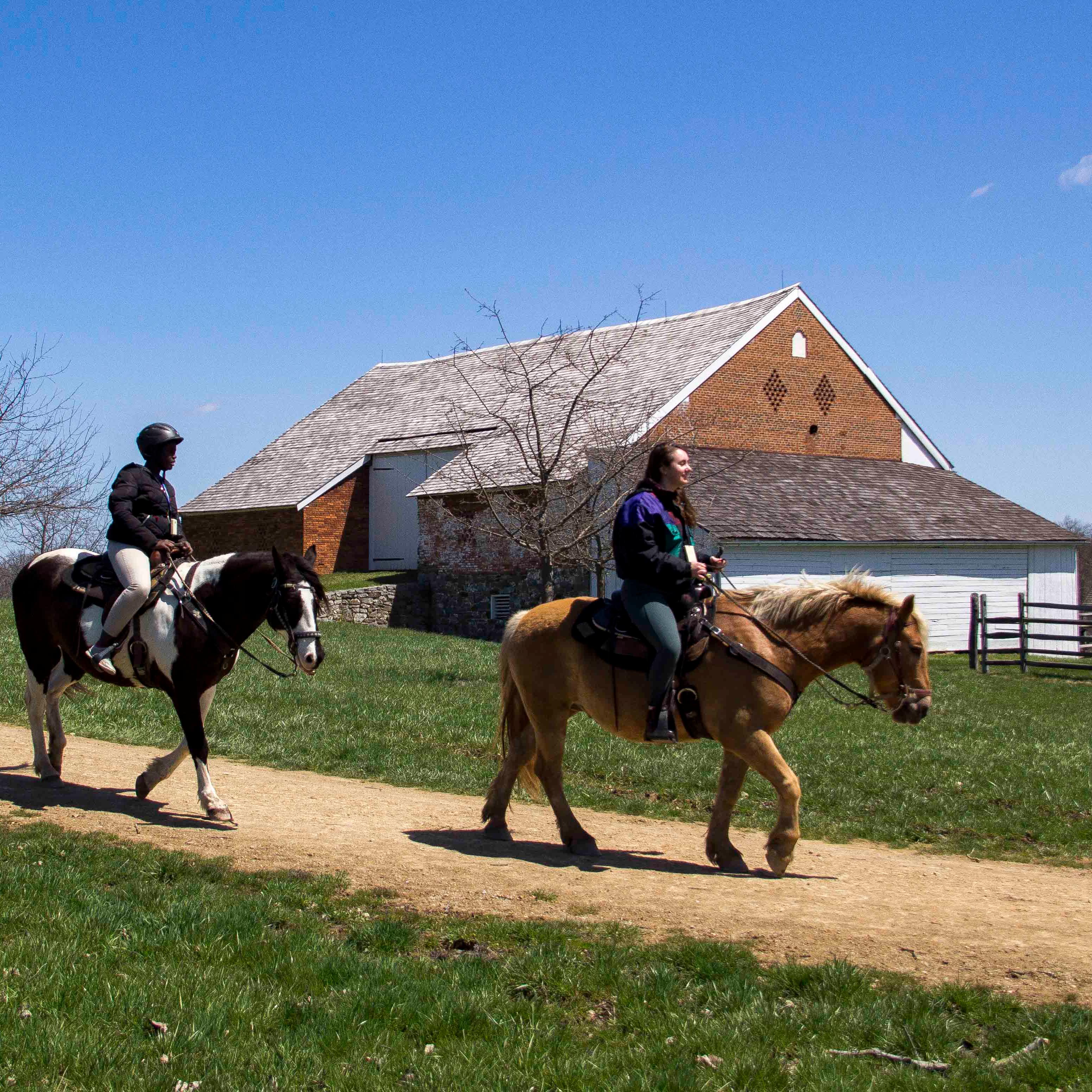 Three horses with riders walk down a yellow gravel trail past a red brick barn in the background.