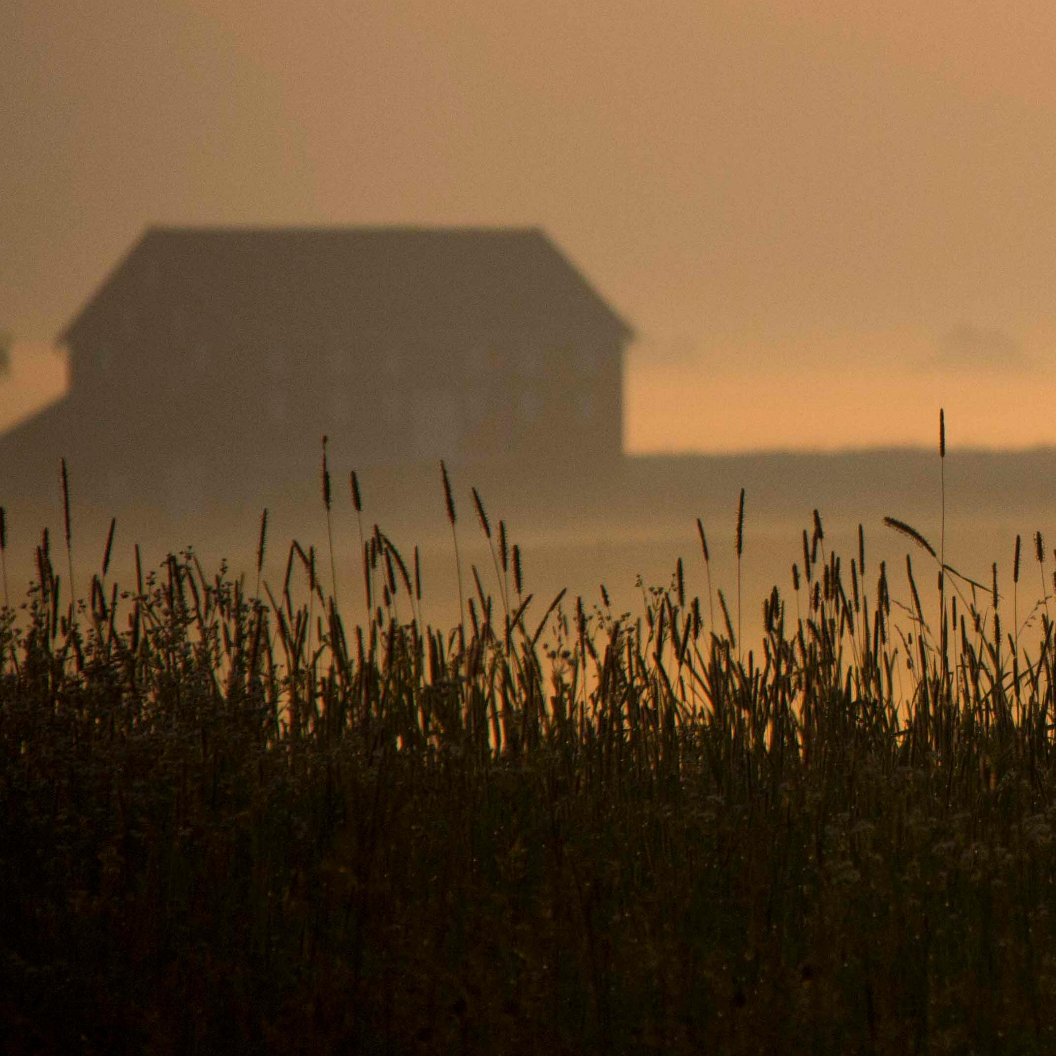 A hazy morning sunrise over a field. The sky is orange, there is a barn in the left distance.