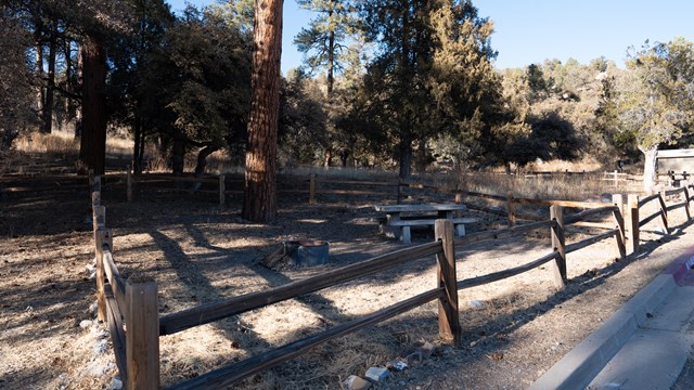 A campsite enclosed by wooden fencing, there is a metal fire ring and picnic table within the site