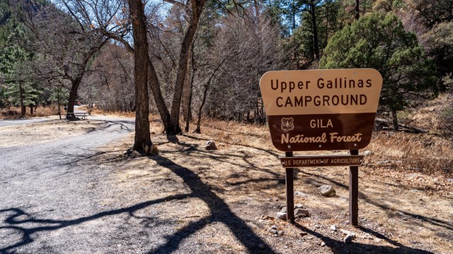 A picture of a Forest Service sign that says Upper Gallinas Campground