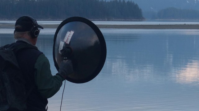 Humpback sounds recorded in Glacier Bay