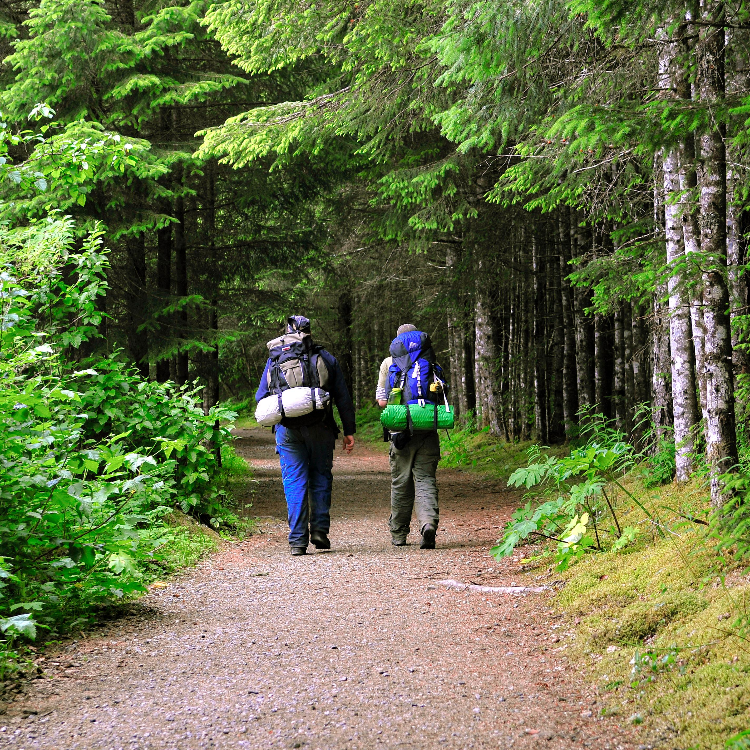 two hikers with backpacks walk down forested trail