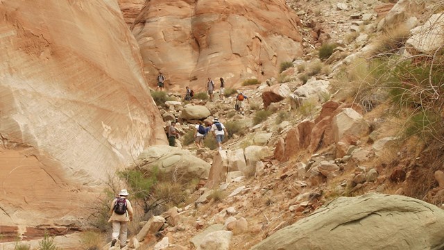 sandstone canyon. A group of people hikes up into the center.