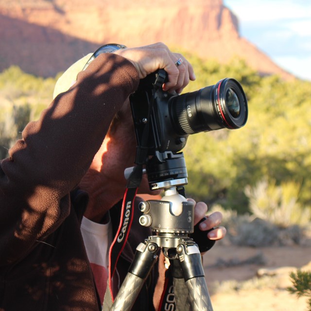 Photographer peers into camera mounted on tripod