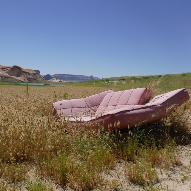 A pink couch in a grassy desert near a lake