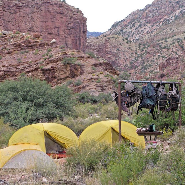 2 yellow dome tents in a backcountry campsite within canyon walls. 4 backpacks hang from a pole.