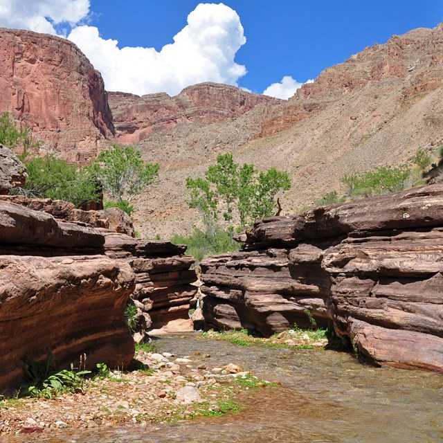 A view of Deer Creek during a rafting trip stop on the Colorado River.