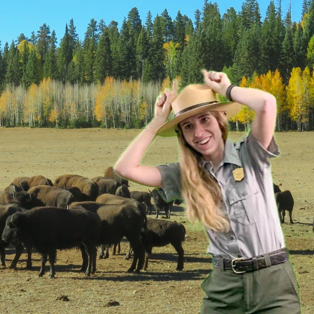 Park Ranger stands in front of aspens and bison, making horns with fingers to look like a bison.