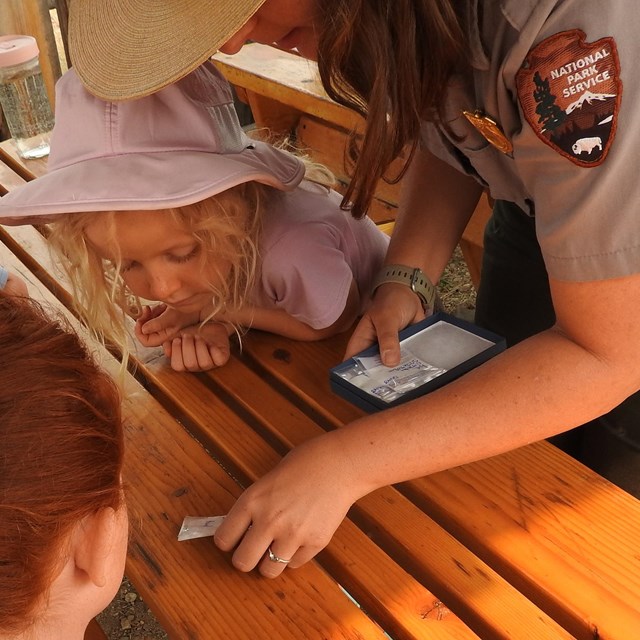 Two little girls examine an artifact that the female ranger is laying on the table.