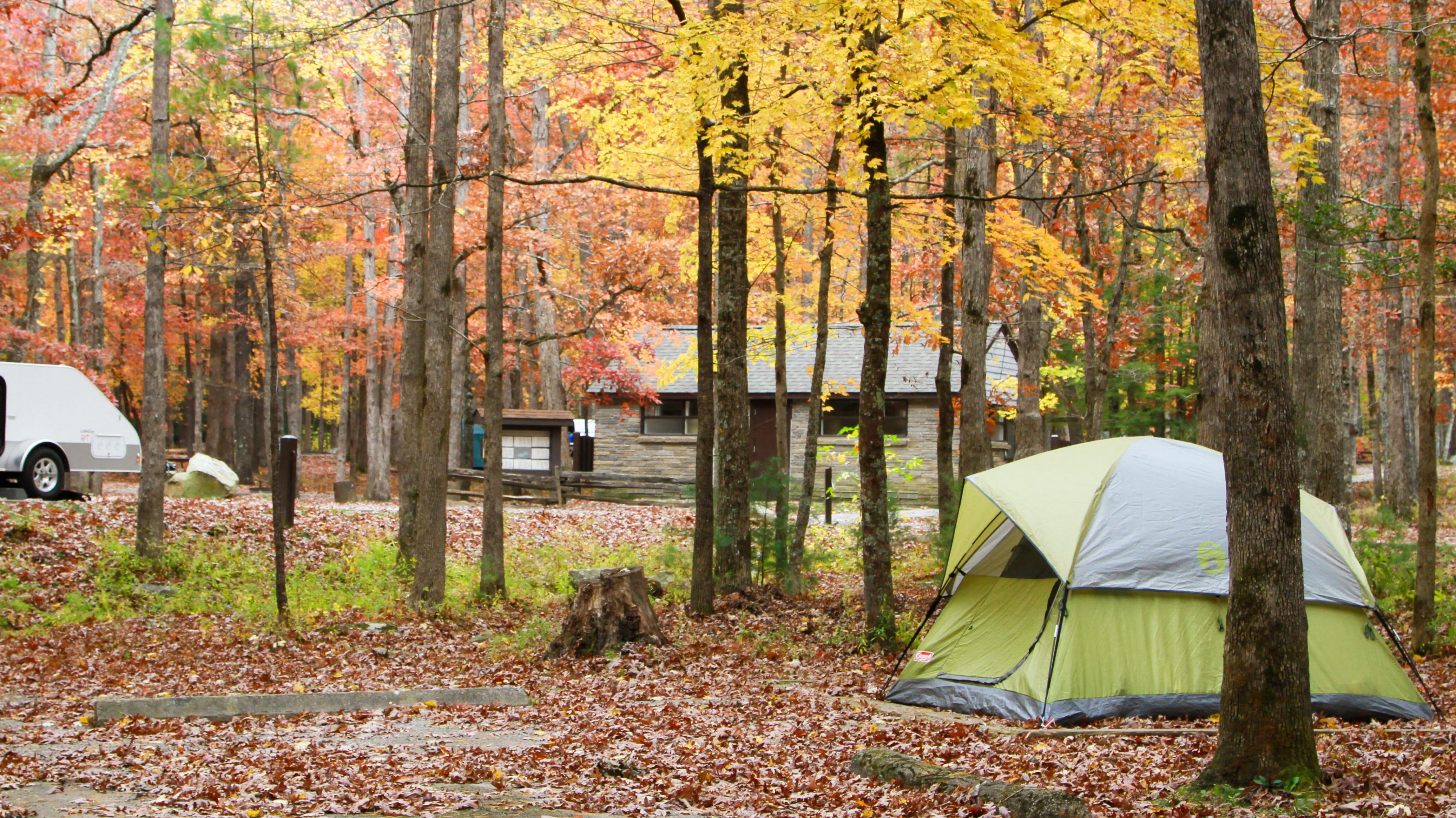 A campground in the fall with a green rent and many trees.