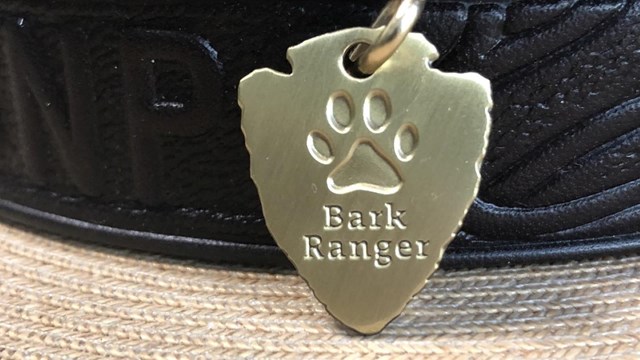A golden, arrowhead-shaped badge that says "bark ranger" with a paw imprint