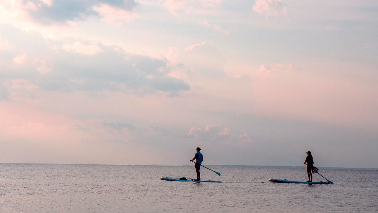 Two paddle boards