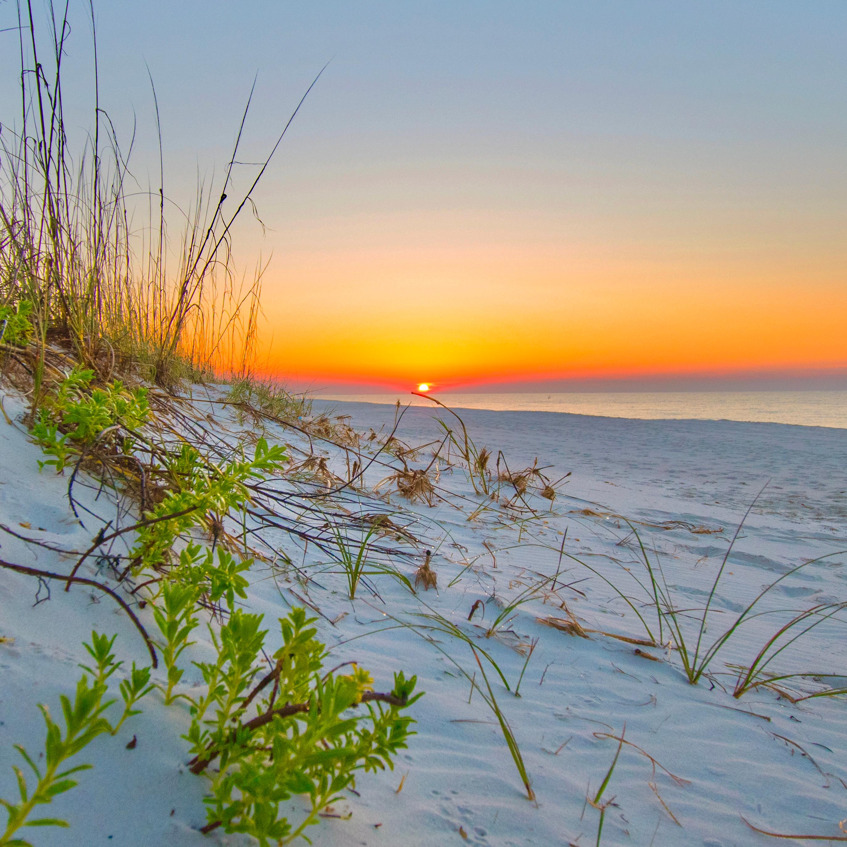 The sun sets of the Gulf of Mexico with a sandy beach and grass covered dunes in the foreground.