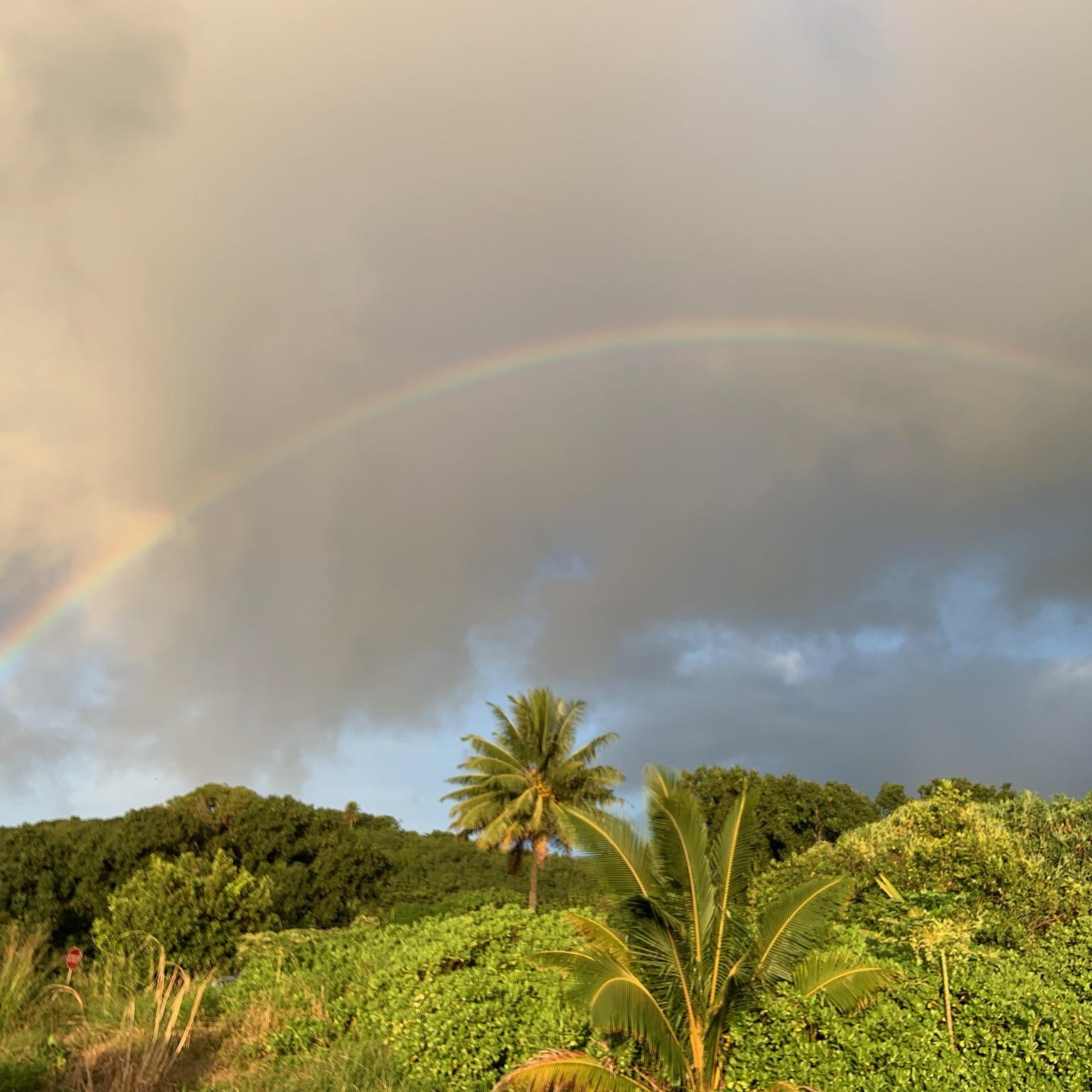 A rainbow arcs over a green rainforest