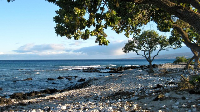 Black and white cobblestone beach with green trees on right and ocean on left
