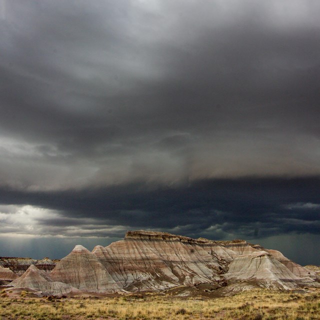 Dark clouds over Petrified Forest