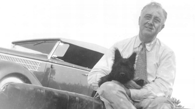 FDR seated on a hillside with his dog, Fala.
