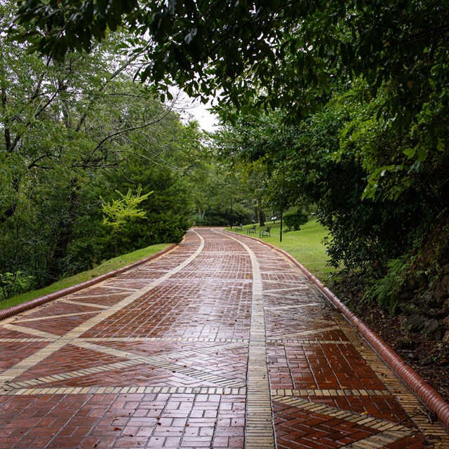 A red brick walkway is wet and shiny in the dampened sunlight.